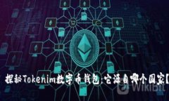  探秘Tokenim数字币钱包：它