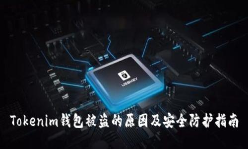 Tokenim钱包被盗的原因及安全防护指南