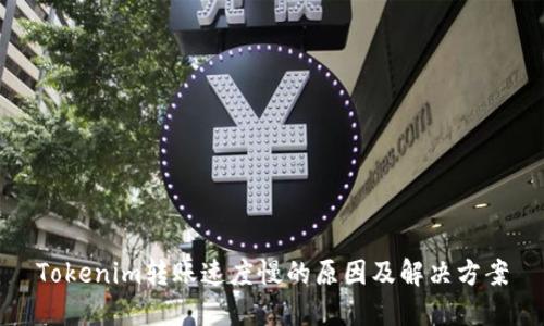 Tokenim转账速度慢的原因及解决方案