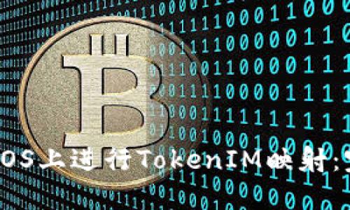 如何在EOS上进行TokenIM映射：完整指南
