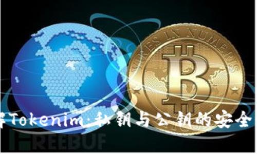 深入了解Tokenim：私钥与公钥的安全性及应用