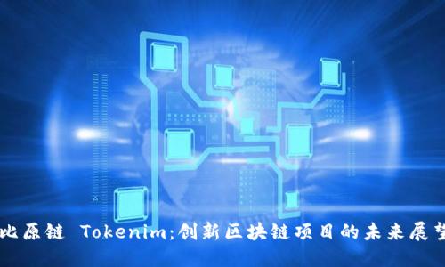 比原链 Tokenim：创新区块链项目的未来展望
