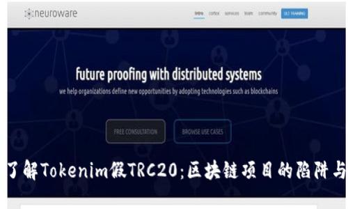 深入了解Tokenim假TRC20：区块链项目的陷阱与防范