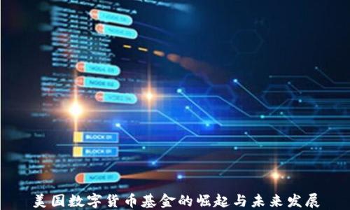 
美国数字货币基金的崛起与未来发展