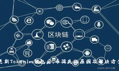 更新Tokenim钱包后，币消失的原因及解决方案