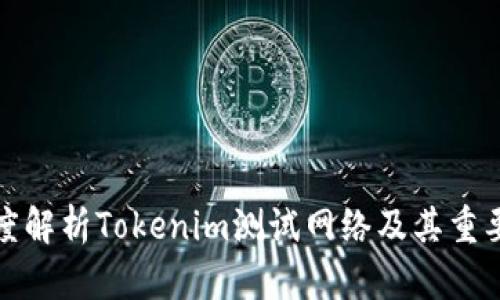深度解析Tokenim测试网络及其重要性