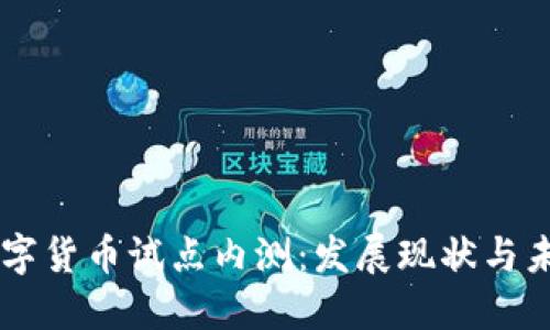 中国数字货币试点内测：发展现状与未来展望