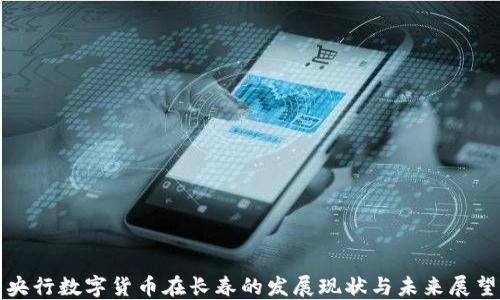 
央行数字货币在长春的发展现状与未来展望
