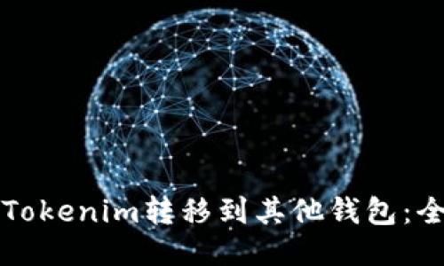 如何将Tokenim转移到其他钱包：全面指导