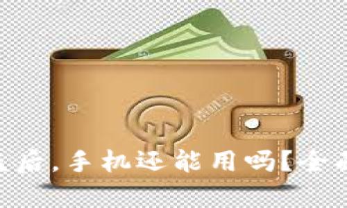 Tokenim钱包被盗后，手机还能用吗？全面分析与解决方案