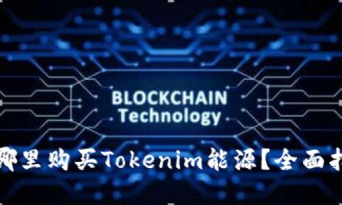 在哪里购买Tokenim能源？全面指南