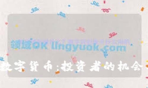  最宝贵的数字货币：投资者的机会与风险分析