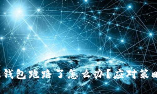 : TokenTokenIM钱包跑路了怎么办？应对策略与风险防范指南