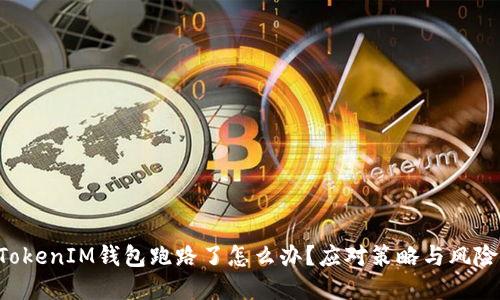 : TokenTokenIM钱包跑路了怎么办？应对策略与风险防范指南