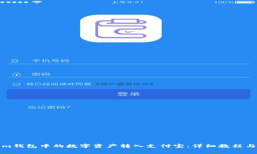 如何将Tokenim钱包中的数字资产转入支付宝：详细教程与常见问题解答