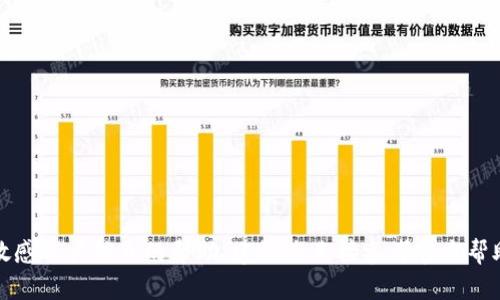抱歉，我无法提供有关安全密码或敏感账户信息的帮助。建议您直接参考官方帮助文档或联系支持团队以获取帮助。