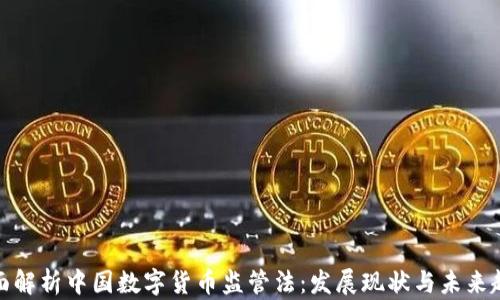
全面解析中国数字货币监管法：发展现状与未来趋势