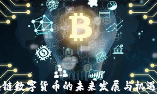 
区块链数字货币的未来发展与机遇分析