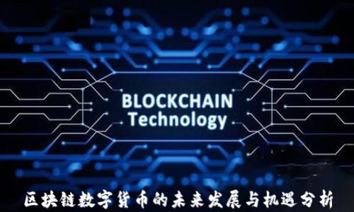 
区块链数字货币的未来发展与机遇分析