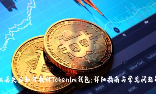 手机丢失后如何找回Tokenim钱包：详细指南与常见问题解答