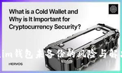 Tokenim钱包未备份的风险与解决方案