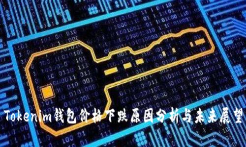 Tokenim钱包价格下跌原因分析与未来展望