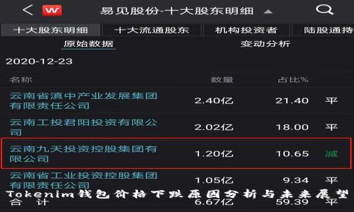 Tokenim钱包价格下跌原因分析与未来展望
