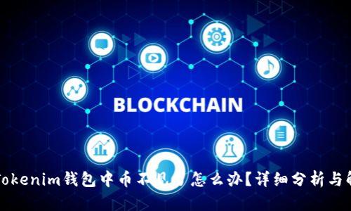 ### Tokenim钱包中币不见了怎么办？详细分析与解决方案