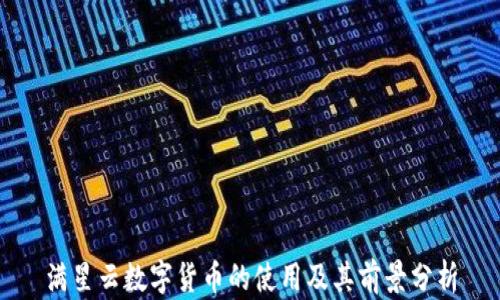 
满星云数字货币的使用及其前景分析