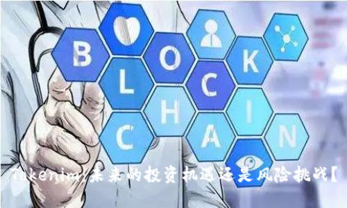 Tokenim：未来的投资机遇还是风险挑战？