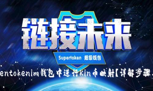如何在Tokentokenim钱包中进行Kin币映射？详解步骤与注意事项