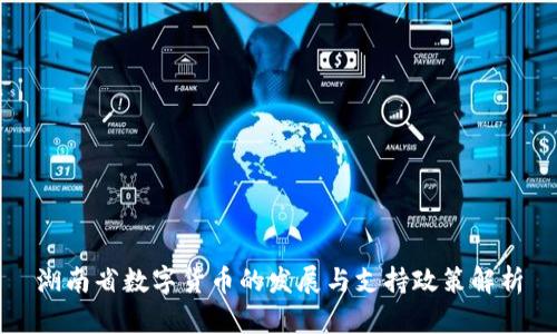 湖南省数字货币的发展与支持政策解析