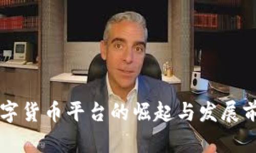 网商数字货币平台的崛起与发展前景分析