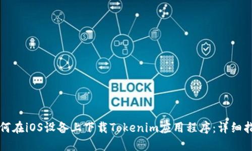 如何在iOS设备上下载Tokenim应用程序：详细指南