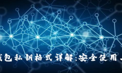Tokenim钱包私钥格式详解：安全使用与管理指南