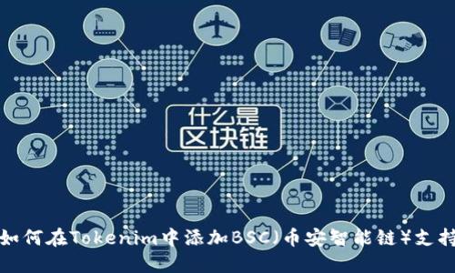 如何在Tokenim中添加BSC(币安智能链)支持