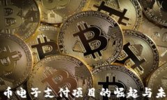 数字货币电子支付项目的