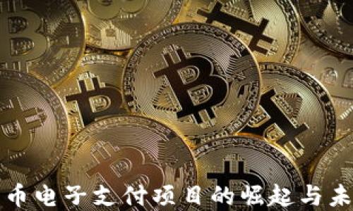 
数字货币电子支付项目的崛起与未来展望