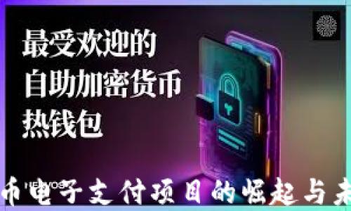 
数字货币电子支付项目的崛起与未来展望