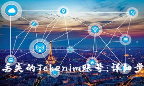 如何找回丢失的Tokenim账号：详细步骤与指导