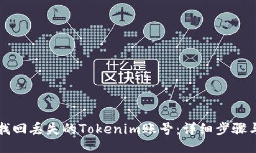 如何找回丢失的Tokenim账号：详细步骤与指导