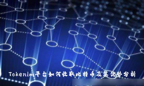 Tokenim平台如何收取比特币及其优势分析