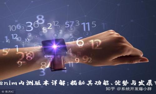 Tokenim内测版本详解：揭秘其功能、优势与发展前景