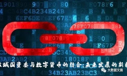 : 盐城国资委与数字货币的结合：未来发展的新机遇