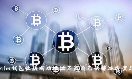 Tokenim钱包收款成功地址不是自己的解决方案与分析