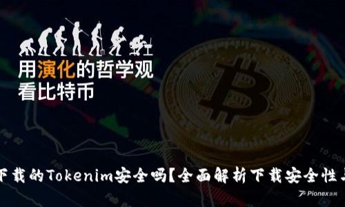 百度下载的Tokenim安全吗？全面解析下载安全性与风险