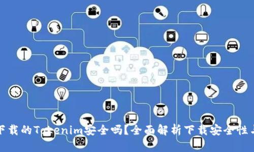 百度下载的Tokenim安全吗？全面解析下载安全性与风险
