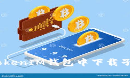 如何在TokenTokenIM钱包中下载子钱包：完整指南