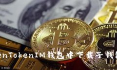 如何在TokenTokenIM钱包中下