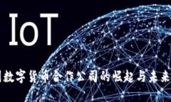 美国数字货币合作公司的